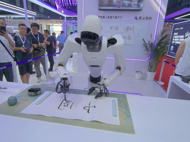 必一智能運動科技：實探2024世界機器人大會：人形機器人各顯身手(圖8)