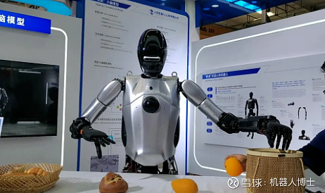 盤點2024年人形機器人團隊(圖3)
