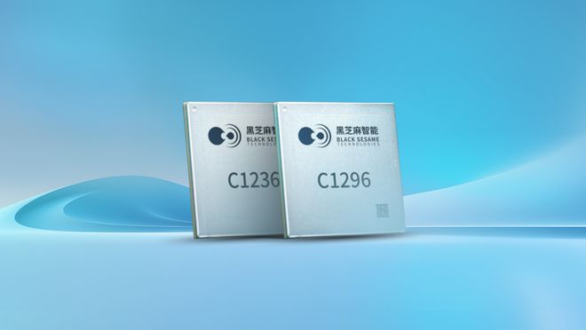 必一運動：黑芝麻智能毛利翻倍的秘訣(圖3)