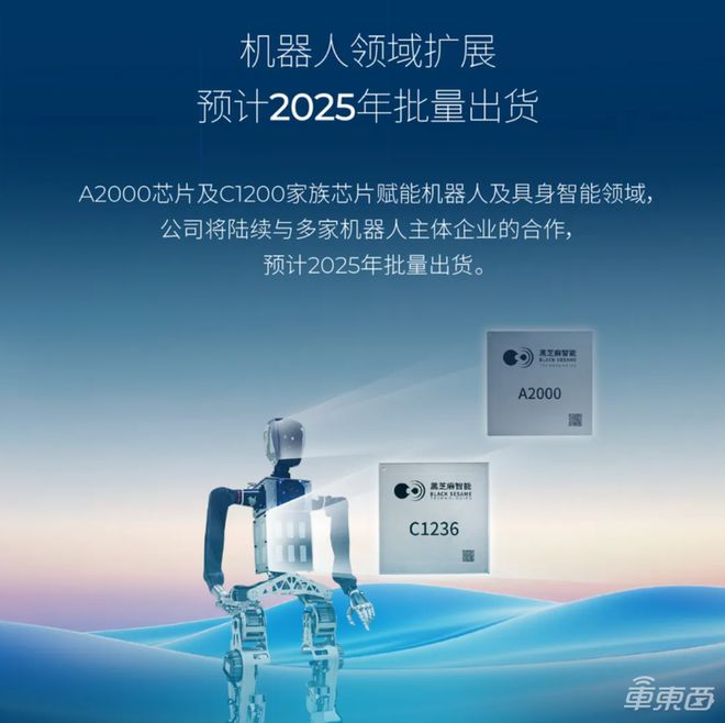 凈賺313億！黑芝麻2024年扭虧為盈智駕產(chǎn)品毛利374%(圖6)